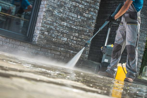 Animal Enclosure Cleaning in Mcadenville, NC